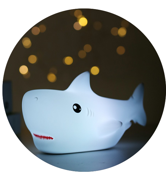 Portable and Rechargeable Changing Bright Lamp