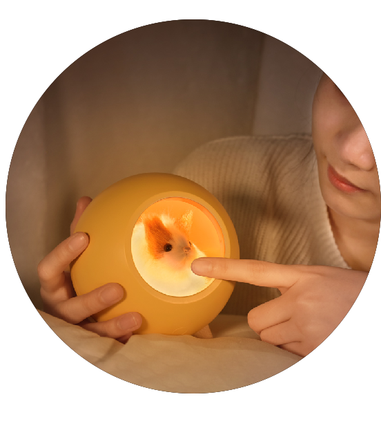 Creative Gift Bedroom Wooden Bedside Desk Dimming Lights Table Lamp