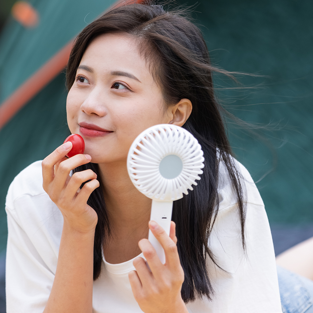 Handheld Fan